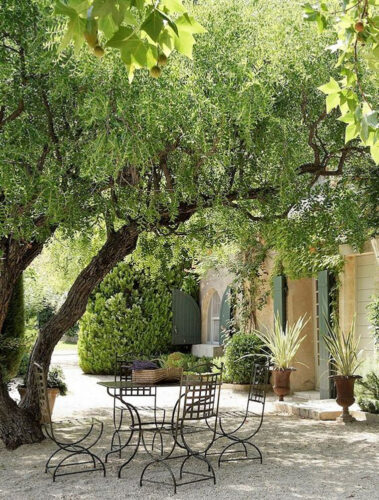 Progettare un giardino