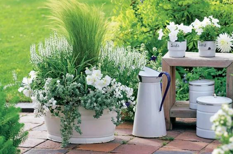 Progettare un giardino