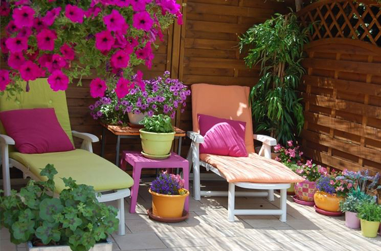 Quali Fiori E Piante Scegliere Per Abbellire Un Terrazzo Rosa Strano Quali Fiori E Piante Scegliere Per Abbellire Un Terrazzo Rosa Strano